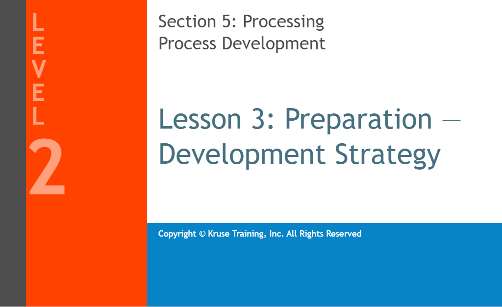 Process Development Strategy
